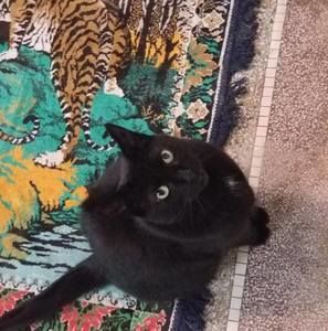 Meet your Posher, Heather